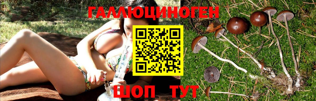 Меф Людиново