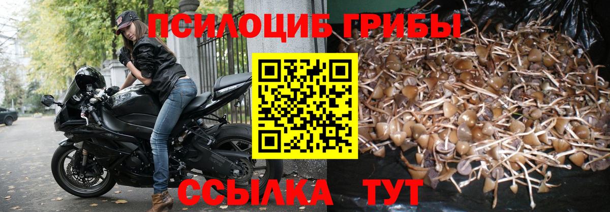 Галлюциногенные грибы ЛСД Людиново